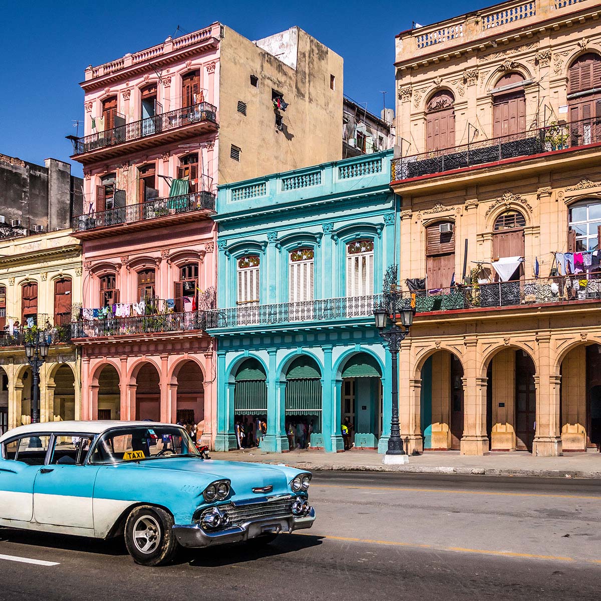 Latin America & Galapagos Islands